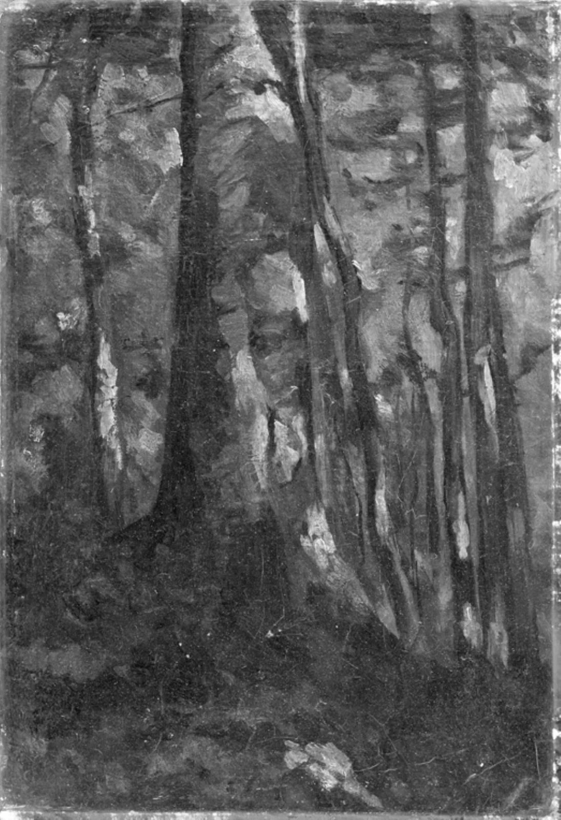 L'interno di una foresta - Statens Museum for Art